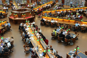 university students